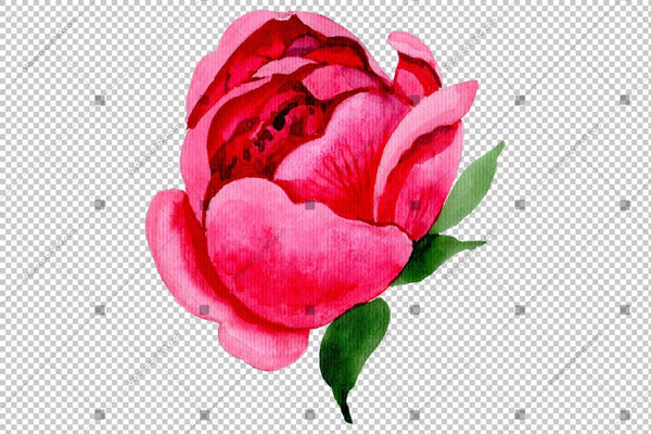 Red Peony Watercolor Flower Png Flower
