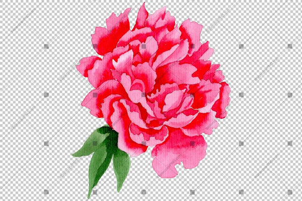 Red Peony Watercolor Flower Png Flower