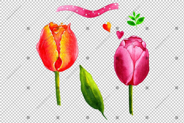 Red Pink And Yellow Tulip Flowers Watercolor Png Flower