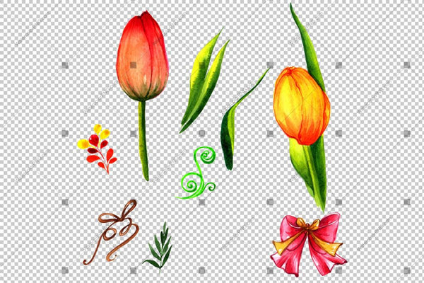 Red Pink And Yellow Tulip Flowers Watercolor Png Flower