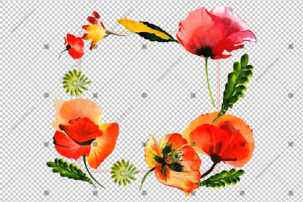 Red Poppy Frame Flowers Watercolor Png Design