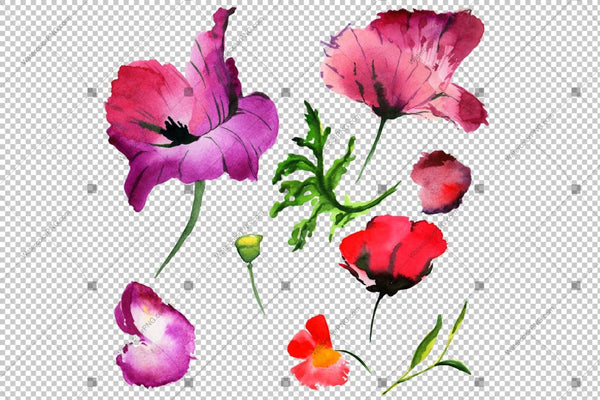 Red Poppy Set Watercolor Flowers Png Flower