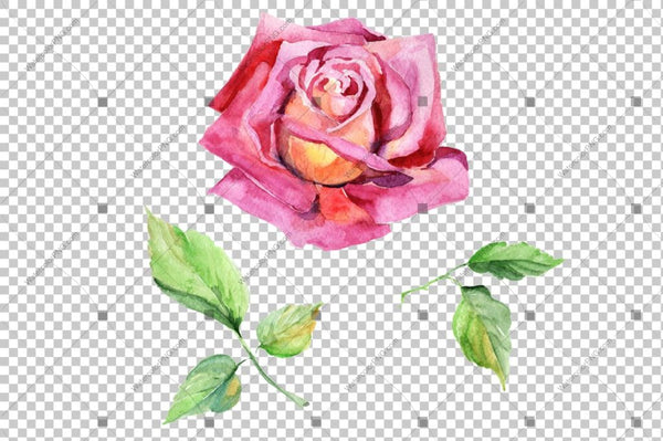 Red Rose And Leaves Watercolor Flowers Png Flower