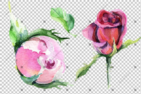 Red Rose And Leaves Watercolor Flowers Png Flower
