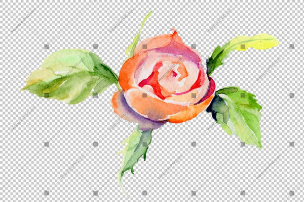 Red Rose Wildflower With Leaves In A Hand-Drawn Watercolor Png Style Isolated Flower