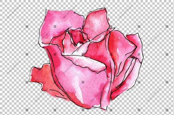 Red Roses Watercolor Flowers Png Flower