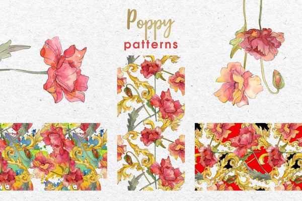 Red watercolor poppies PNG set Digital