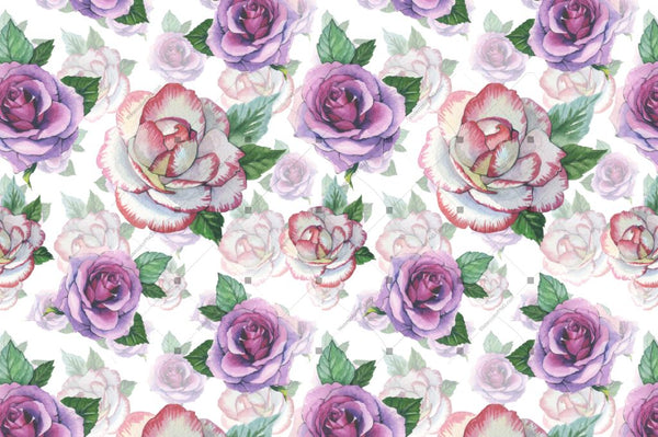 Romantic Set Of 6 Png Watercolor Roses Digital