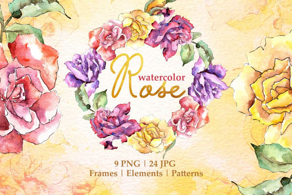 Rose Multi-colored Watercolor png Digital