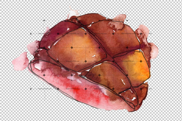 Salmon Fish Steaks Png Watercolor Set Digital