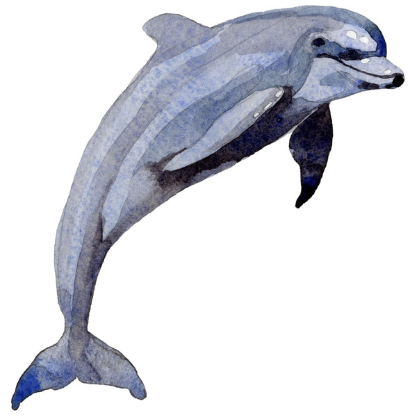 Sea Dolphins Watercolor PNG Digital