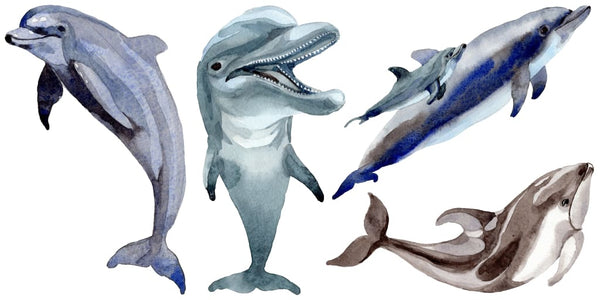 Sea Dolphins Watercolor PNG Digital