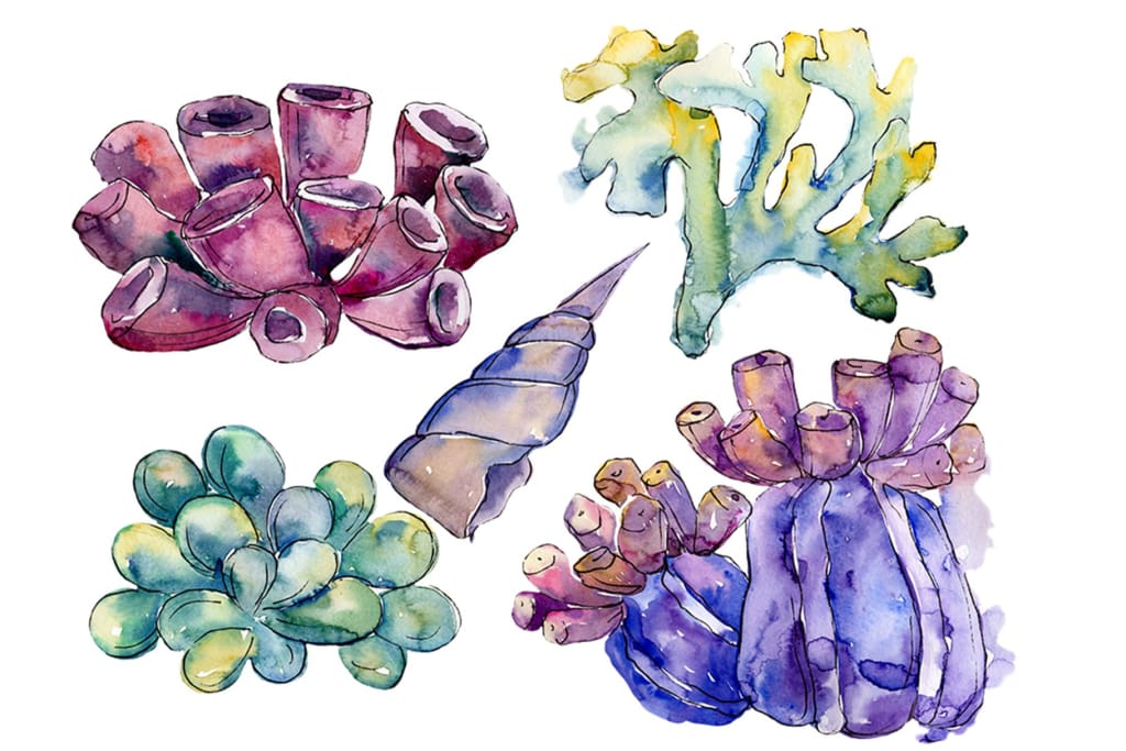 Sea flowers corals magic watercolor png Flower