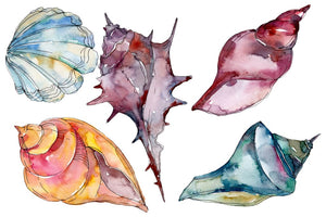 Sea shells watercolor png Digital