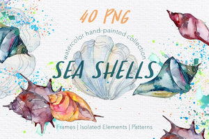 Sea Shells Watercolor png Digital