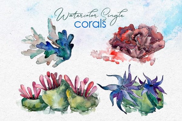 Seafood corals watercolor png Digital