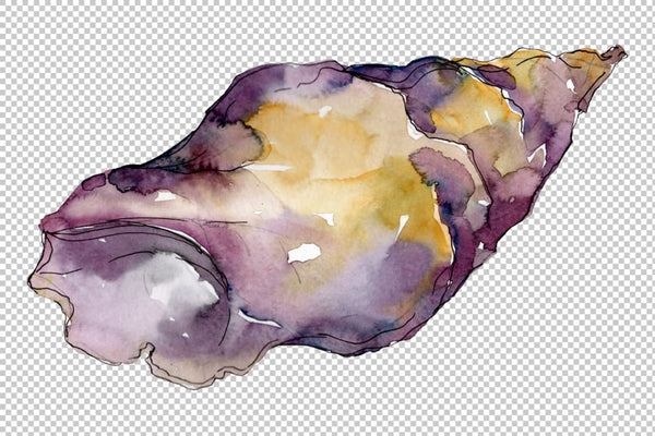 Shells Watercolor png Flower