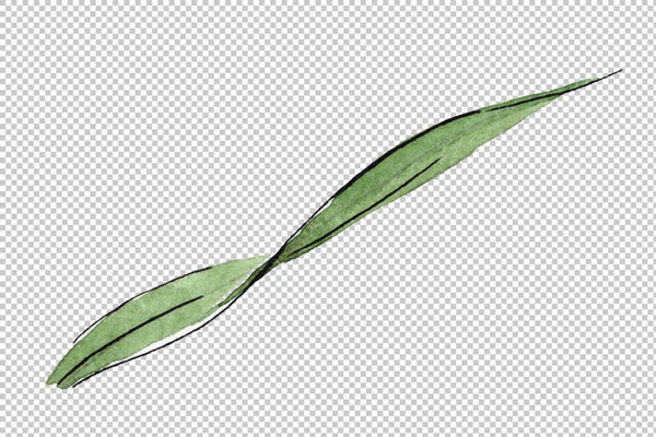 Spike of wheat Watercolor png Flower