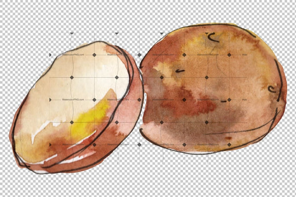 Steak Watercolor png Flower