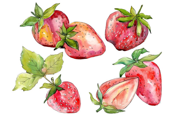 Strawberry Alba watercolor png Flower