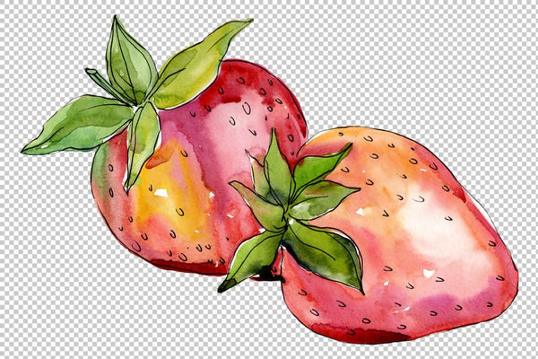 Strawberry Alba watercolor png Flower