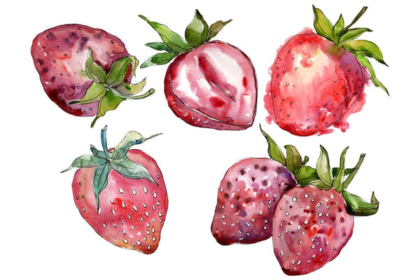 Strawberry cultivar Malvina watercolor png Flower