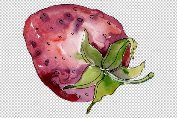 Strawberry cultivar Malvina watercolor png Flower