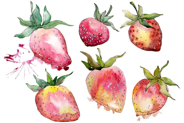 Strawberry Gigantella watercolor png Flower