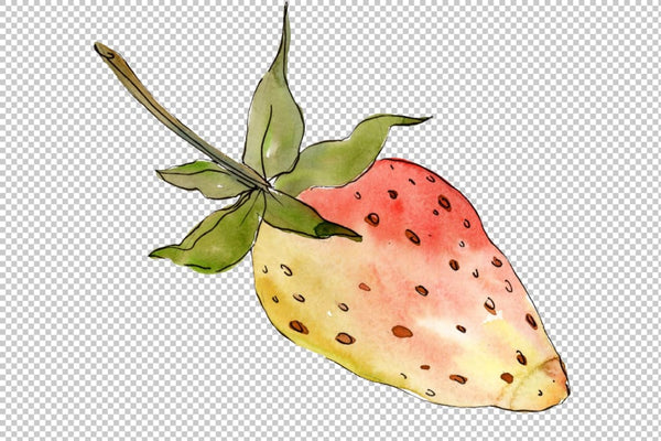 Strawberry Kimberly watercolor png Flower