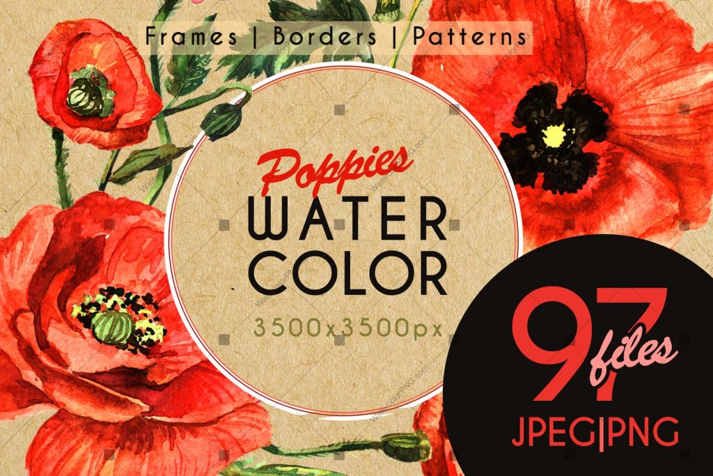 Stunning Poppies Png Watercolor Set Digital