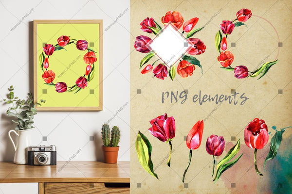 Stunning Red Tulips Png Watercolor Set Digital