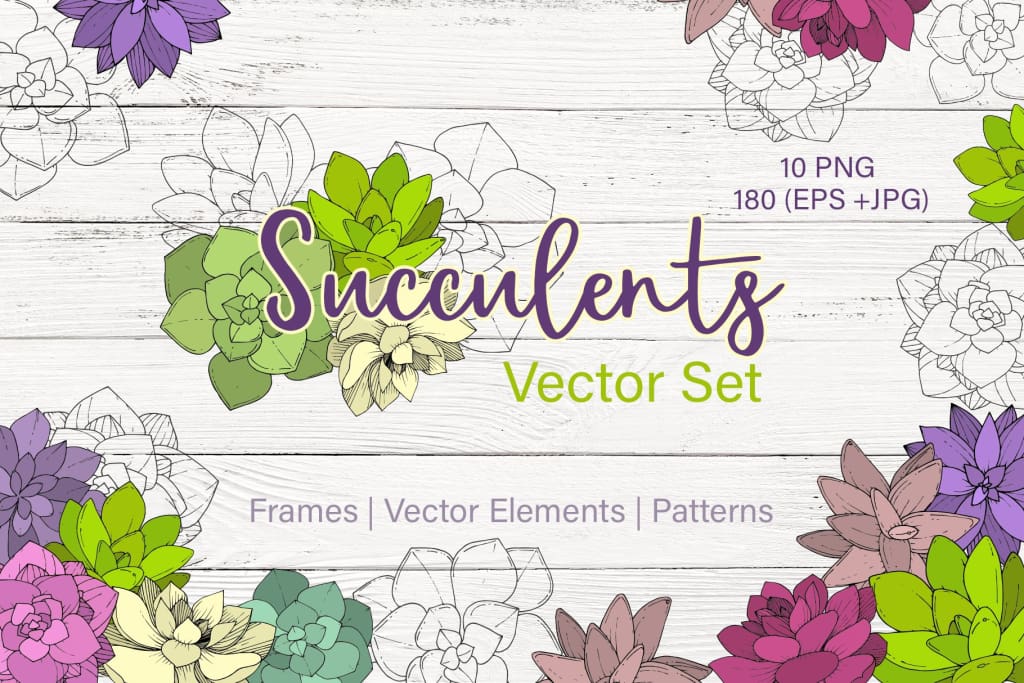 Succulents Vector Set Digital