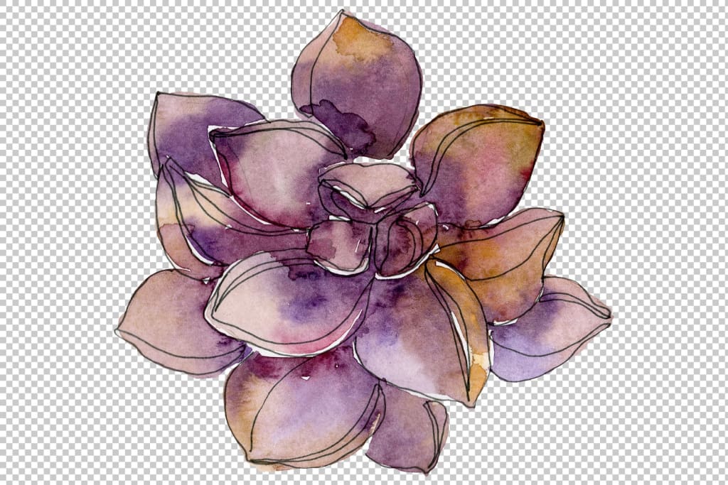 watercolor succulent png Succulents Watercolor png – WatercolorPNG