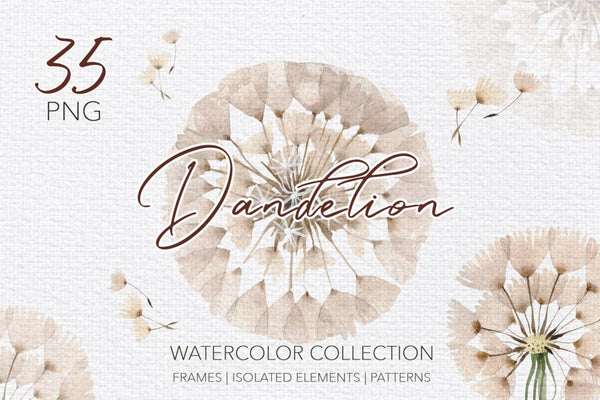 Summer dandelion collection watercolor png Digital