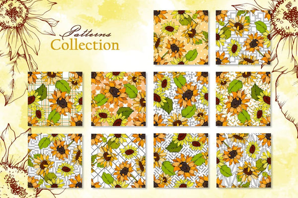 Sunflower Vector Collection Digital