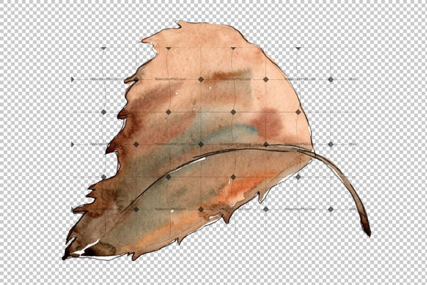 Sweet Chestnut Png Watercolor Leaves Set Digital