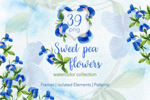 Sweet pea flowers Watercolor png Digital