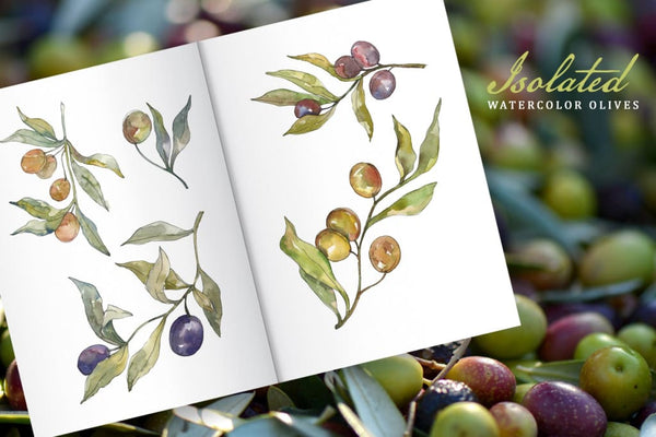 Tasty olives watercolor png Digital
