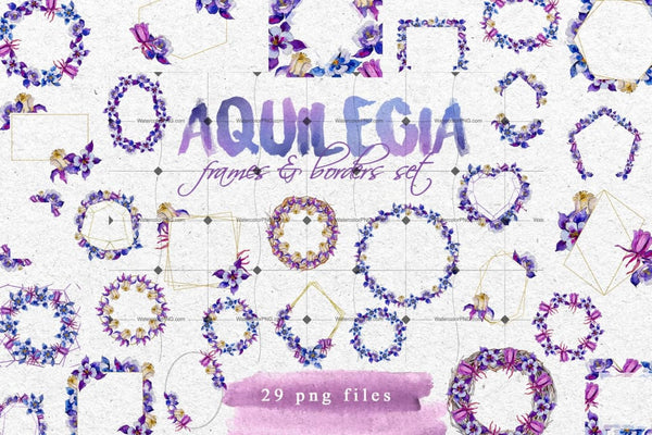 The Simple Beauty Of Aquilegia Digital