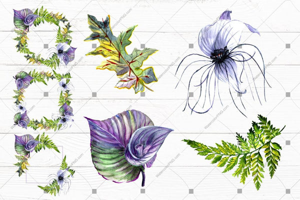 Tropical Flowers Png Watercolor Set Digital