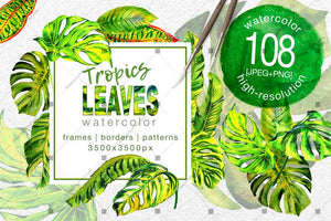 Tropics Leaves Monstera Png Watercolor Set Digital