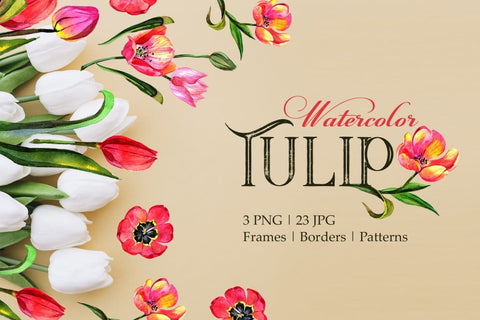 Tulip red Watercolor png Digital