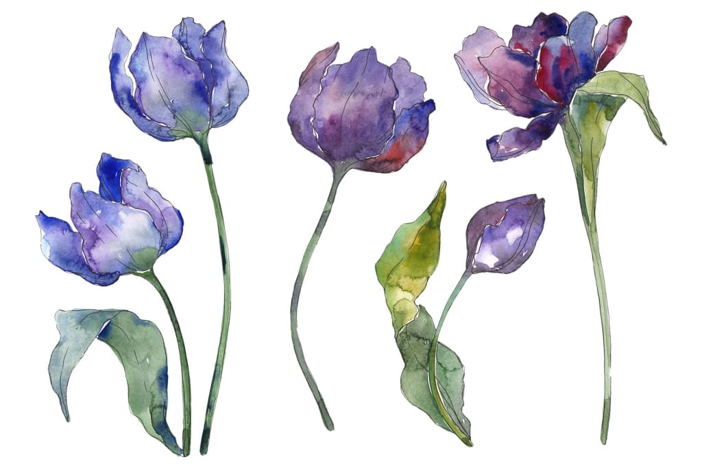 Tulips blue Watercolor png Flower