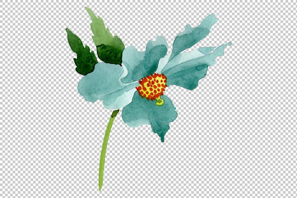 Turquoise poppy Watercolor png Flower