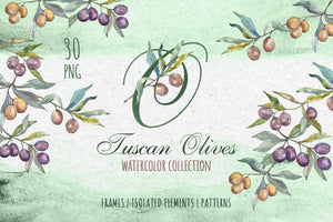 Tuscan Olives green Watercolor png Digital