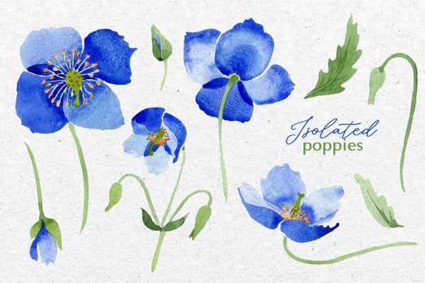 Ultramarine blue Poppies Watercolor png Digital