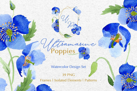 Ultramarine blue Poppies Watercolor png Digital