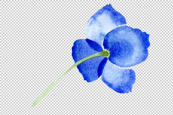 Ultramarine Poppies blue flower watercolor png Flower