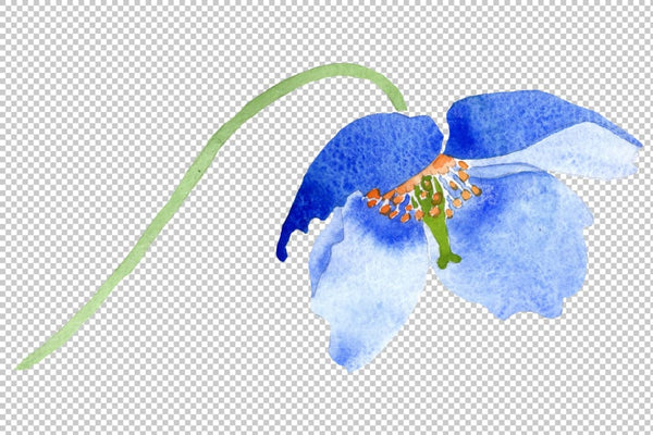 Ultramarine Poppies blue flower watercolor png Flower