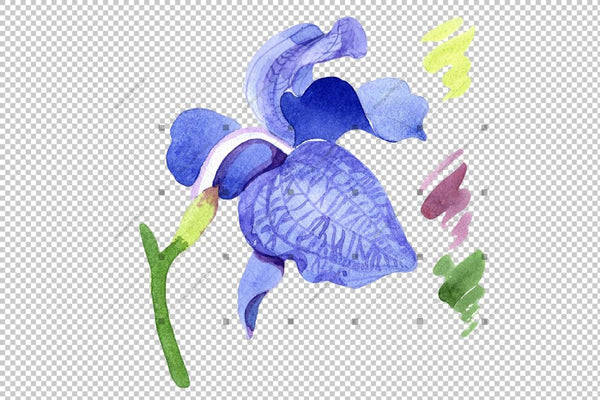 Vanda Blue Magic Png Watercolor Flower Set Digital